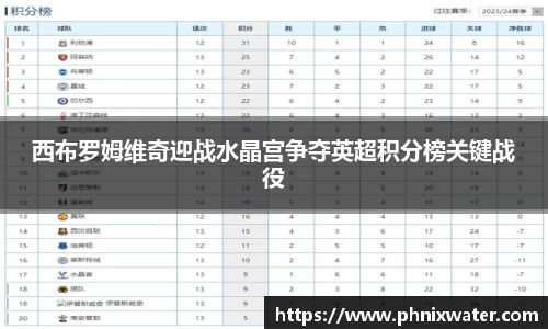 西布罗姆维奇迎战水晶宫争夺英超积分榜关键战役